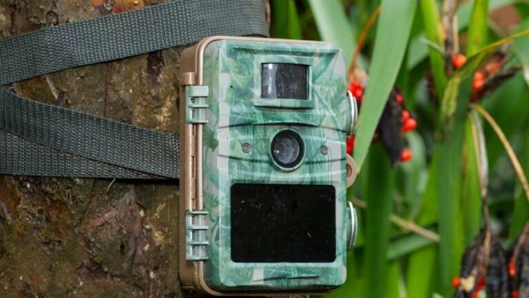 10 Field-Tested Tricks to Locate Secret Trail Cams Before They See You
