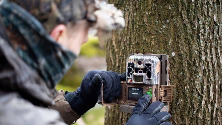 How Often Should A Trail Camera Be Set To Take Pictures