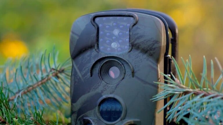 Trail Camera Tips: How Often to Check Them