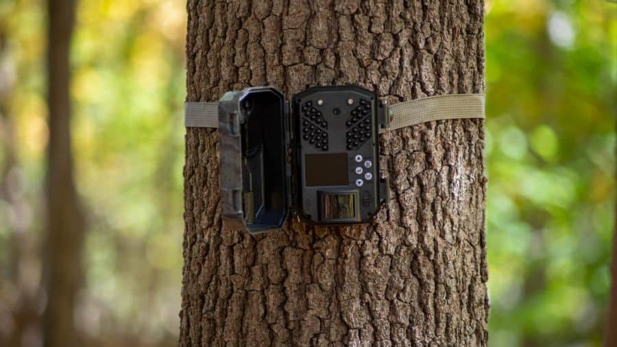 what triggers a trail camera
