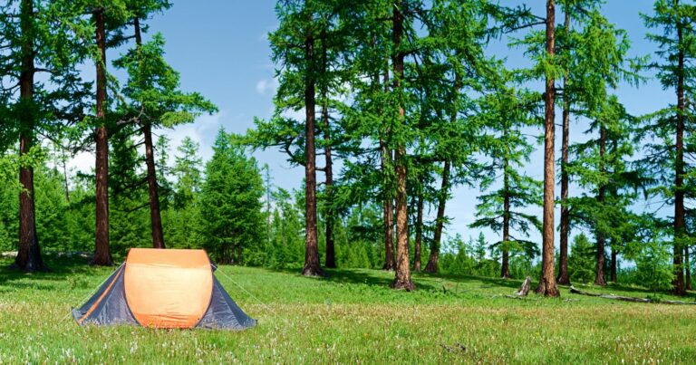 Keeping Your Campsite Squeaky Clean: A Guide to Maintaining Order Outdoors