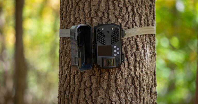 Stop Wasting Money! Learn How to Mount Trail Cams Right