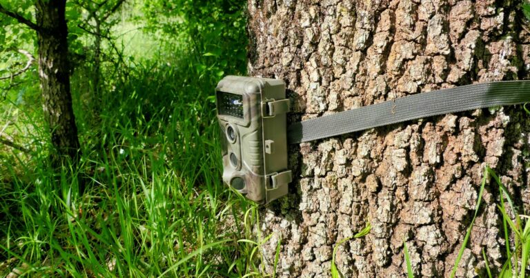 Demystifying Trail Camera Motion Detection